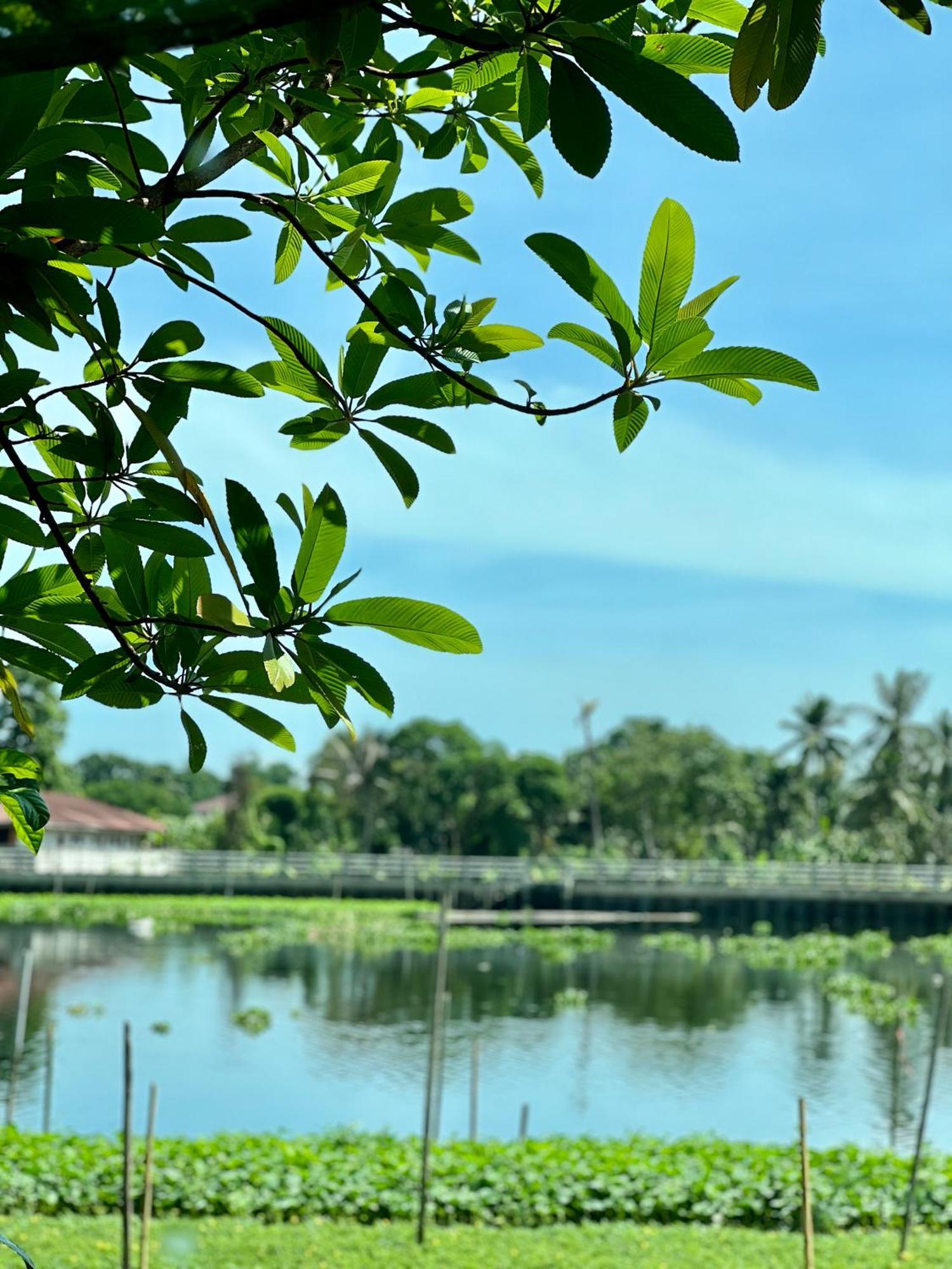 Villa Mrt Riverside มิสเตอร์ที โฮมสเตย์-ช้องนาง *