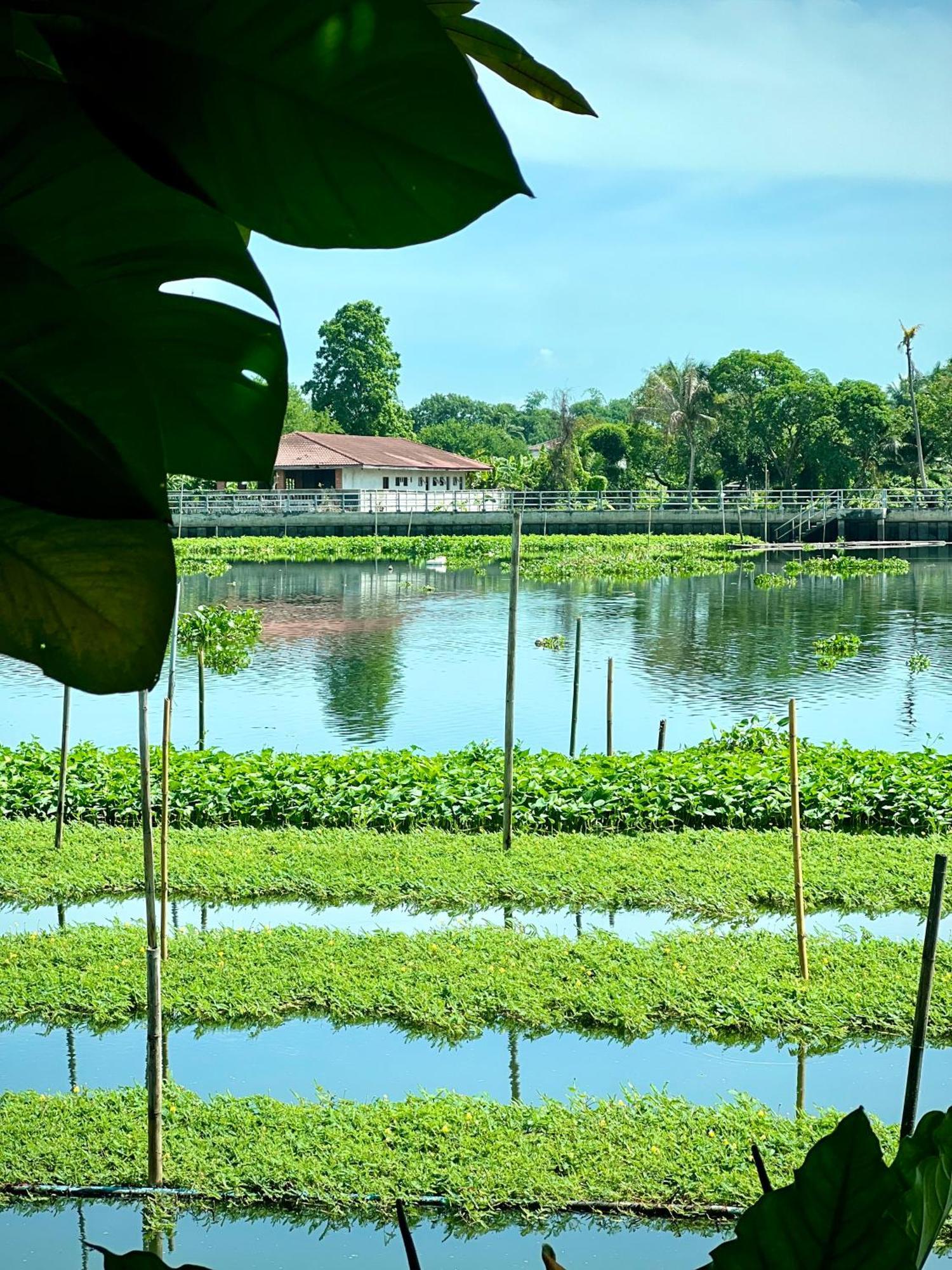 Mrt Riverside มิสเตอร์ที โฮมสเตย์-ช้องนาง Villa Sampran